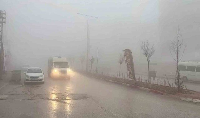 Besni'de yoğun sis etkili oldu