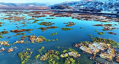 Beyaz gelinliğini giyen Ladik Gölü'nün güzelliği göz kamaştırdı