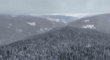 Beyaza bürünen Ilgaz Dağı havadan görüntülendi