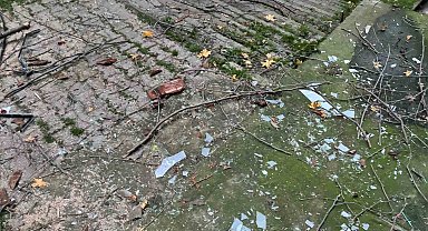 Beyoğlu'nda ağacın kırılan dalları binanın üzerine düştü