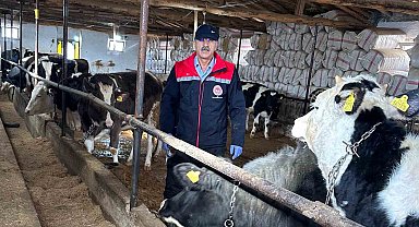 Beyşehir'de hayvancılık faaliyetleri yakın takipte