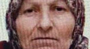 Bilecik'te kaybolan yaşlı kadını jandarma buldu