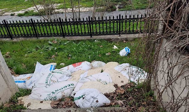 Bilecik'te yol kenarına atılan 15 çuval ekmek hamuru temizlendi