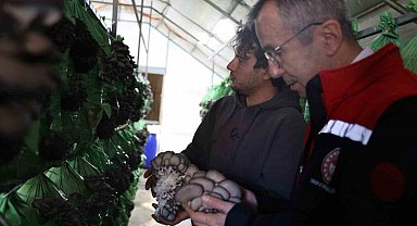 Bilecik'te yüzde 100 hibeli istiridye mantar üretimi başladı