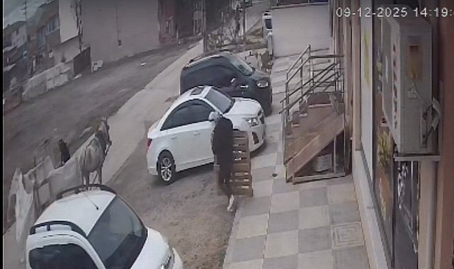Bina önünden malzemeleri izinsiz alan şahıslar kameraya yakalandı