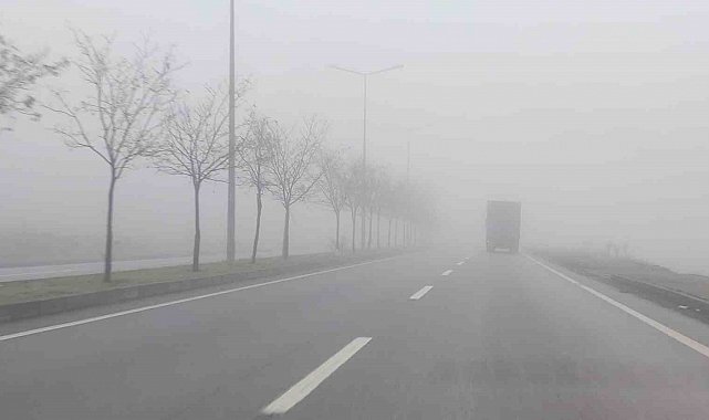 Bingöl'de yoğun sis etkili oldu