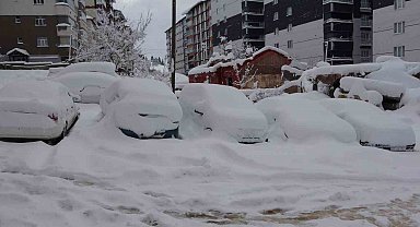 Bitlis'te arabalar ve tek katlı evler kara gömüldü
