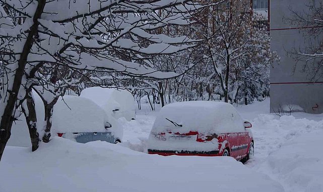 Bitlis'te kar yağışı nedeniyle 87 köy yolu ulaşıma kapandı