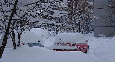 Bitlis'te kar yağışı nedeniyle 87 köy yolu ulaşıma kapandı