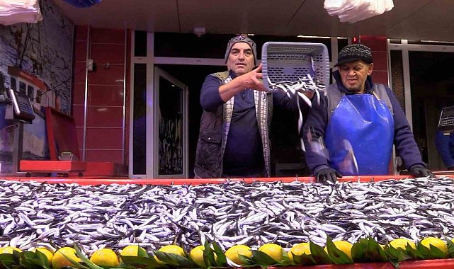 Bolu'da hamsinin kilosu 150 liraya düştü