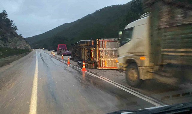 Bolu'da odun yüklü tır devrildi