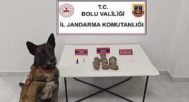 Bolu'da otomobilde zulalanmış uyuşturucuya 2 gözaltı