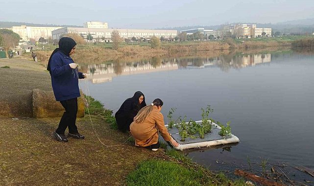 Botanik Bahçesinde "Yüzen Adacıklarla Gölet Temizliği" yapılıyor
