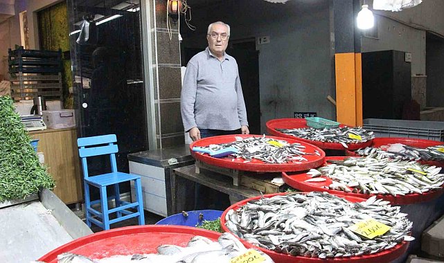 Bozdoğan'da balık tezgahlarının en çok tercih edilen çeşidi hamsi oldu