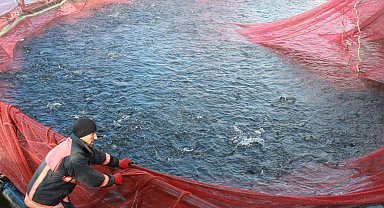 Bozkırın ortasında yetişti, Rusya ve Japonya yolcusu oldu