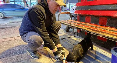 Bu taksi durağı esnafın hayvan sevgisi ile öne çıkıyor