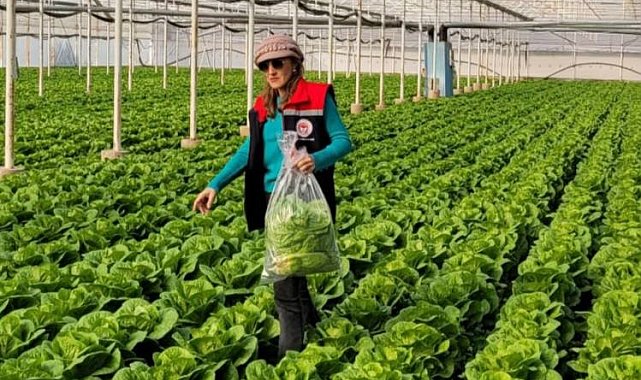 Buharkent'te sağlıklı gıda için pestisit denetimi