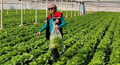 Buharkent'te sağlıklı gıda için pestisit denetimi