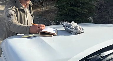 Burdur'da kaçak avcılar ekiplere yakalandı