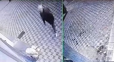 Bursa'da pazar arabası hırsızlığı