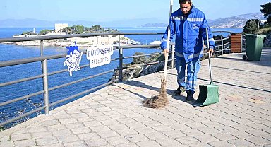 Büyükşehir'den Kuşadası'nda çevre temizliği