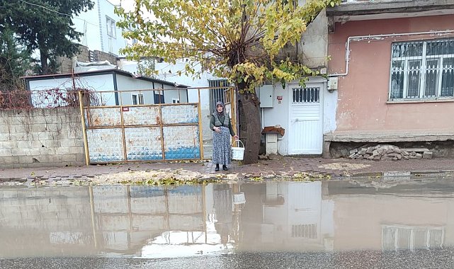 Caddede biriken sular evleri bastı