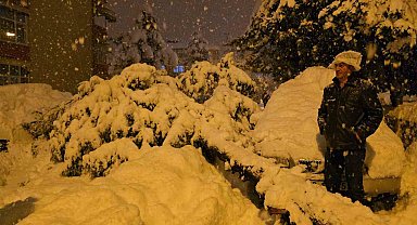 Çam ağacı park halindeki iki aracın üzerine devrildi