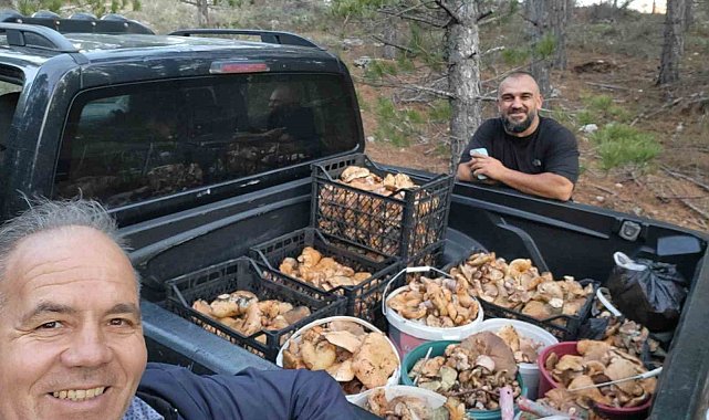 Çameli'de cintar bereketi