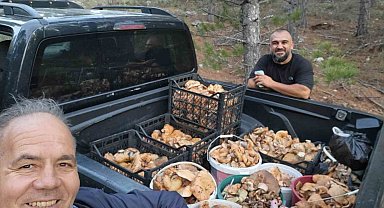 Çameli'de cintar bereketi