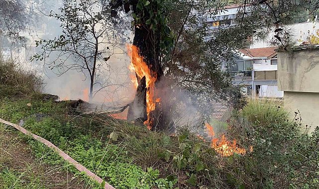 Çamlık alanda çıkan yangın büyümeden söndürüldü