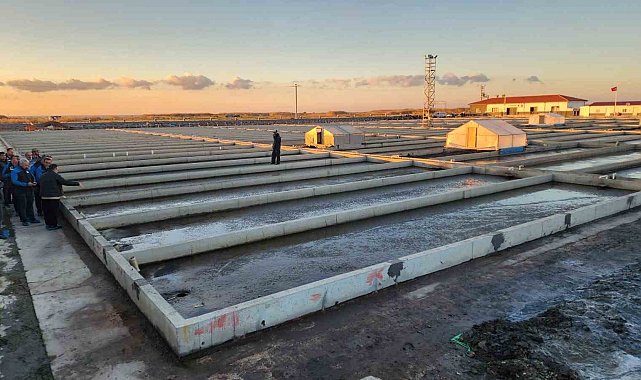 Çanakkale'deki deniz solucanları yetiştiriciliği tesisi sektörde tek