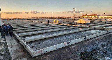 Çanakkale'deki deniz solucanları yetiştiriciliği tesisi sektörde tek