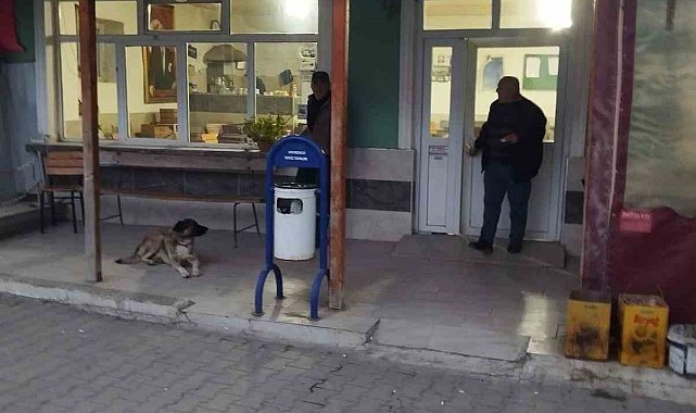 Çanakkale'deki köy kahve ihamesinde inatlaşma: Kira 126 bin TL'yi görünce yeniden ihaleye çıkılacak