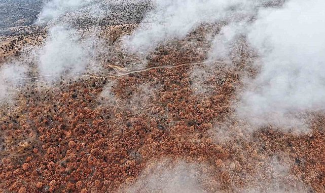 Çankırı'da sis ve kızıla bürünen ormanların buluşması mest etti