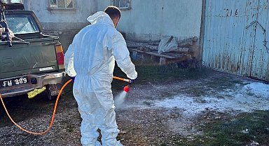 Çavdarhisar'da hayvan işletmelerinde salgın hastalıklara karşı dezenfeksiyon