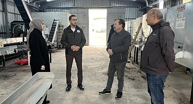 Ceviziyle öne çıkan Gölpazarı'nda üretim zinciri güçleniyor