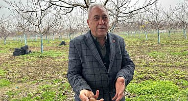 Cevizle yaşam şartları değişen köyde İstanbullular da bahçe kuruyor