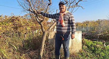 Çiftçinin mesaisi kışın da sürüyor