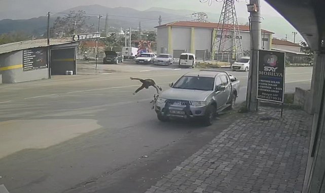 Ciple çarpışan motosikletin sürücüsü metrelerce savruldu
