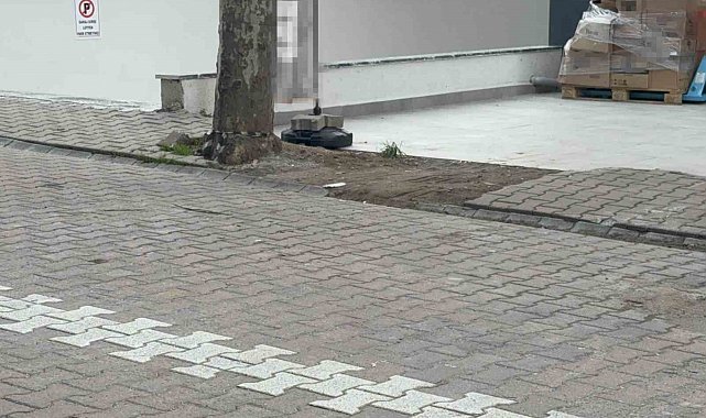 Çöpe atmak için yerden aldığı kargo poşetinin içinden 60 bin dolar çıktı