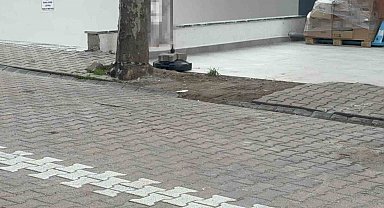 Çöpe atmak için yerden aldığı kargo poşetinin içinden 60 bin dolar çıktı