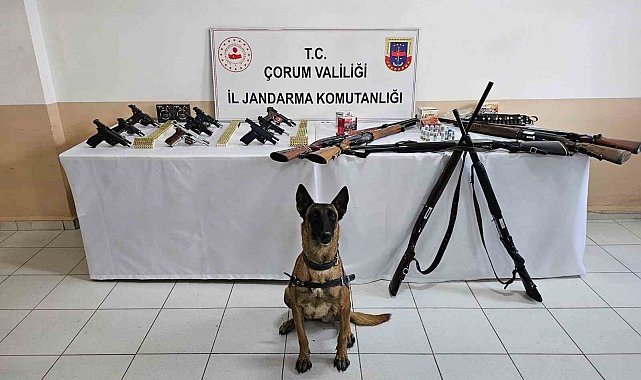 Çorum jandarmasından 'düğün magandaları'na operasyon : 11 gözaltı