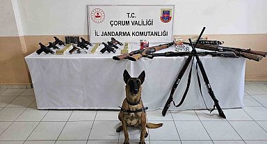 Çorum jandarmasından 'düğün magandaları'na operasyon : 11 gözaltı