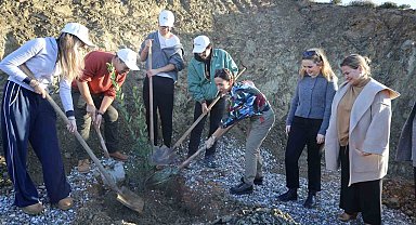Defne fidanları toprakla buluştu