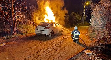 Defne'de otomobil alevlere teslim oldu