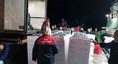 Demirköy'de hamsi denetimi