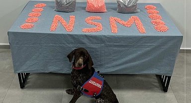 Denizli'de jandarma narkotik ekipleri zehir tacirlerine göz açtırmıyor