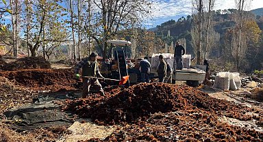 Dikenlerinden kurtulan kestanelerin sofralara yolculuğu başladı