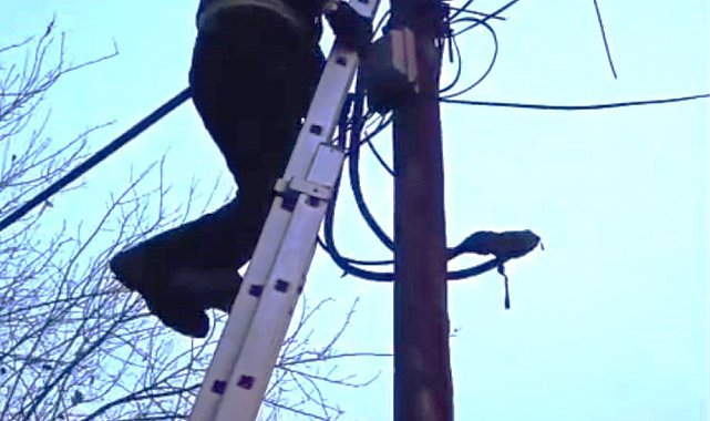 Direkte mahsur kalan kedi itfaiye tarafından indirildi