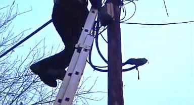 Direkte mahsur kalan kedi itfaiye tarafından indirildi